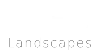 G & D Logo No Icon